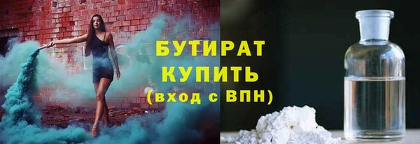 индика Алексин
