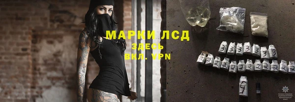 индика Алексин