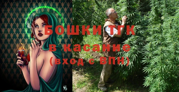 индика Алексин