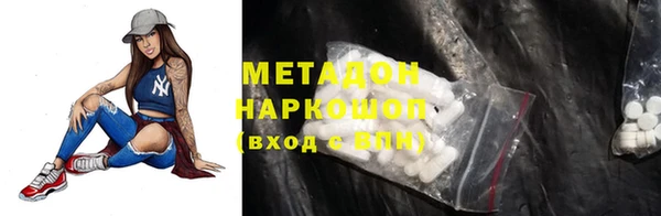 индика Алексин