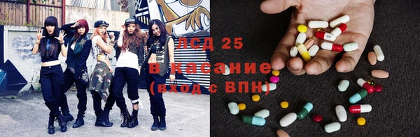 индика Алексин