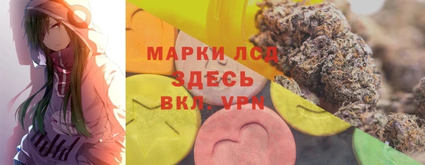 индика Алексин