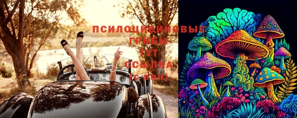 скорость Алзамай