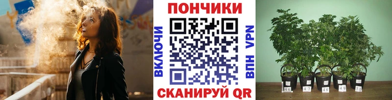 Шишки марихуана план Фурманов